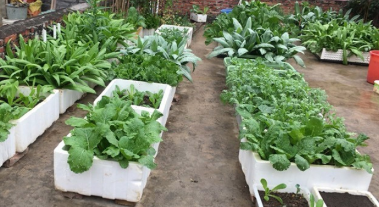 泡沫箱子主要含有什么成分? 泡沫箱子主要含有什么成分?